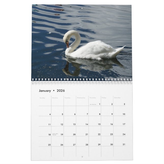 Calendrier des cygnes 2012 (Jan 2026)