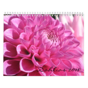 Calendrier des dahlias 2011