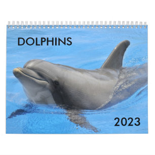 Calendrier des dauphins de Bottlenose