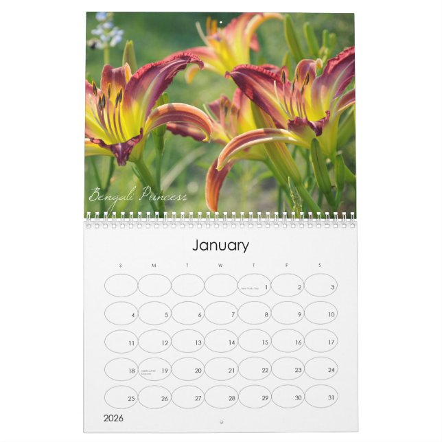 Calendrier des Daylilies 2011 (Jan 2026)