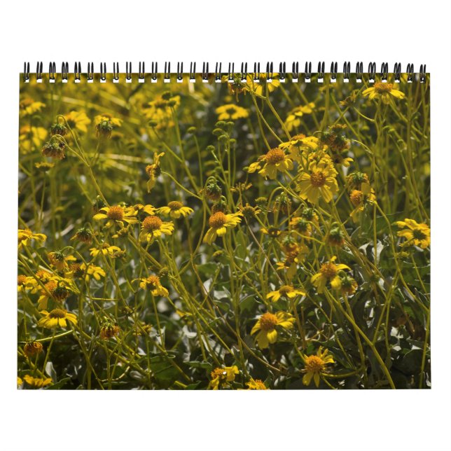 Calendrier des écritures fleurs sauvages (Protection)