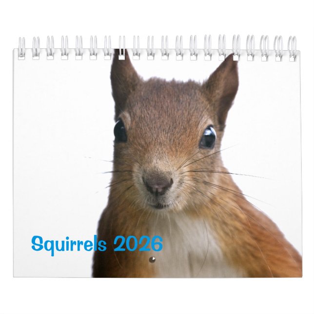 Calendrier des écureuils (Protection)