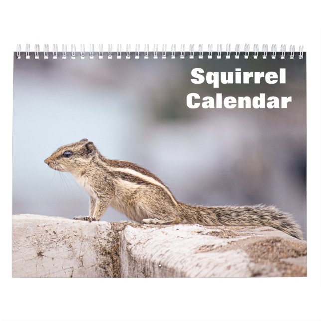 Calendrier des écureuils 2025 (Protection)