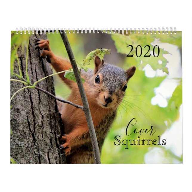 Calendrier des écureuils de couverture 2020 (Protection)