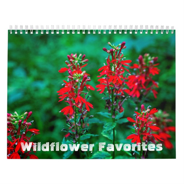 Calendrier des favoris Fleurs sauvages n° 1 (Protection)