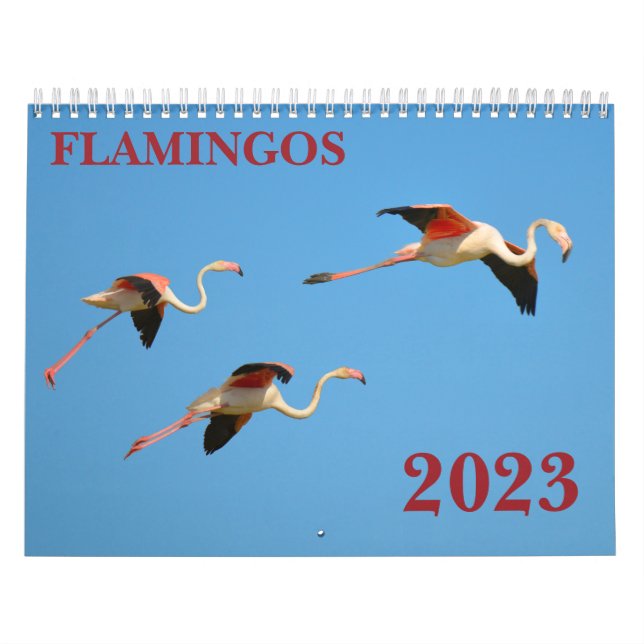 Calendrier des Flamants roses (Protection)