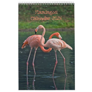 Calendrier des Flamants roses 2025