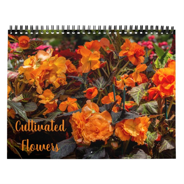 Calendrier des fleurs cultivées (Protection)