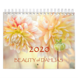 Calendrier des fleurs de la Beauté de Dahlias 2020