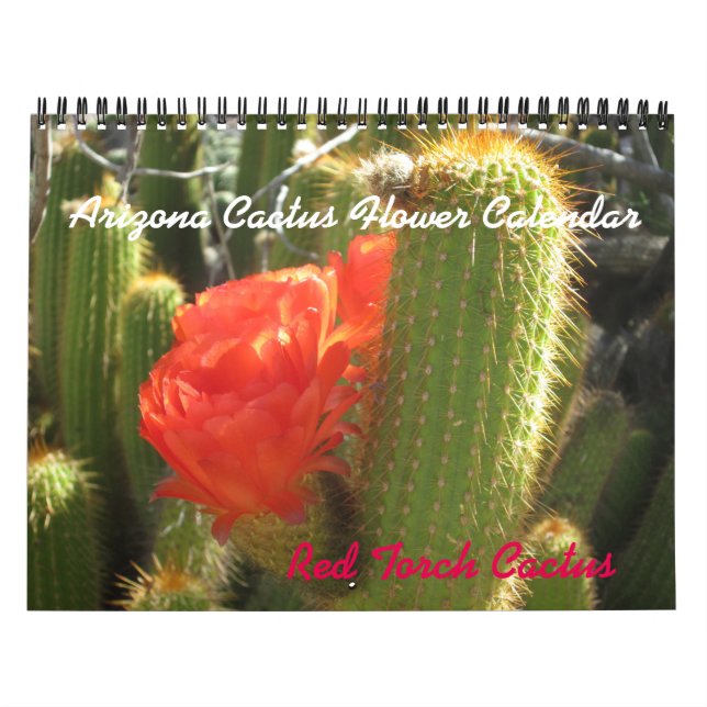 Calendrier des fleurs de l'Arizona Cactus (Protection)