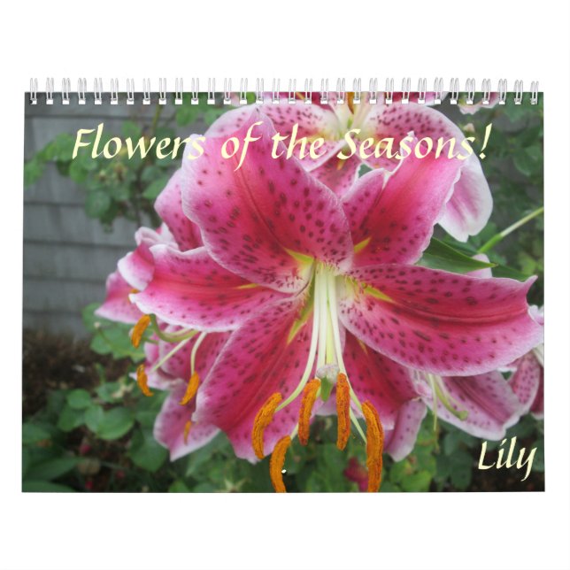 Calendrier des fleurs des saisons (Protection)