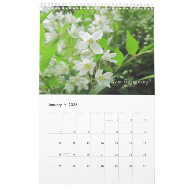 Calendrier des fleurs du jardin (Jan 2026)
