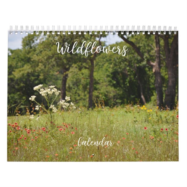 Calendrier des fleurs florales fleurs sauvages (Protection)