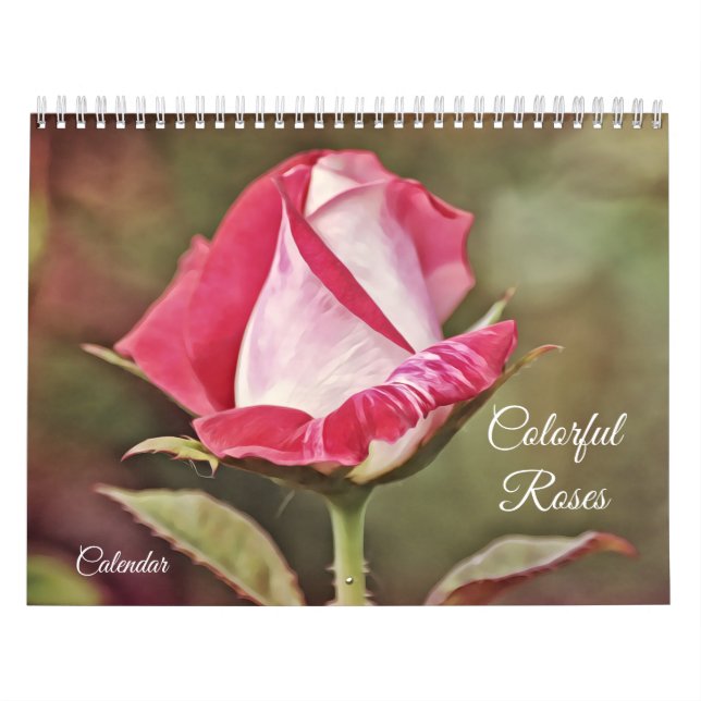 Calendrier des fleurs Roses colorées (Protection)