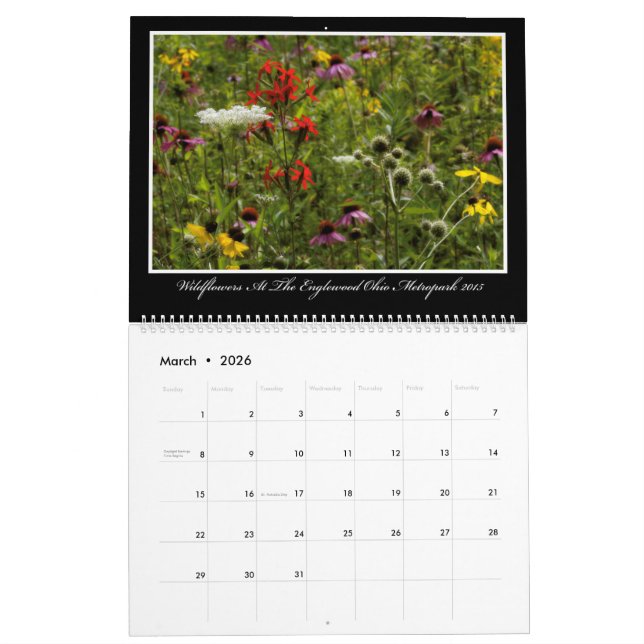 Calendrier des fleurs sauvages 2017 par Thomas (Mar 2026)
