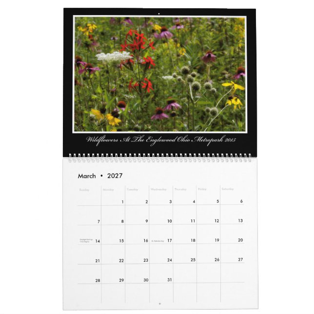 Calendrier des fleurs sauvages 2017 par Thomas (Mar 2027)
