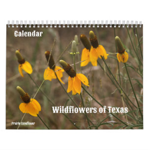 Calendrier des fleurs sauvages du Texas