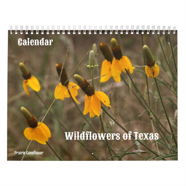 Calendrier des fleurs sauvages du Texas (Protection)