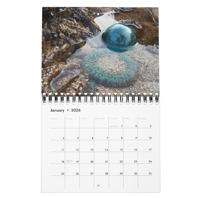 Calendrier des flotteurs de verre japonais 2013 (Jan 2026)