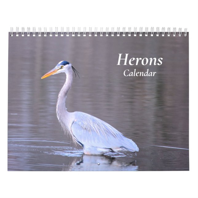 Calendrier des hérons (Protection)