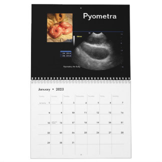 Calendrier des images ultrasoniques
