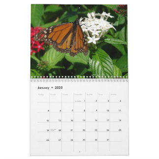 Calendrier des images WKS