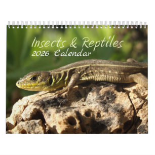 Calendrier des insectes et reptiles 2025