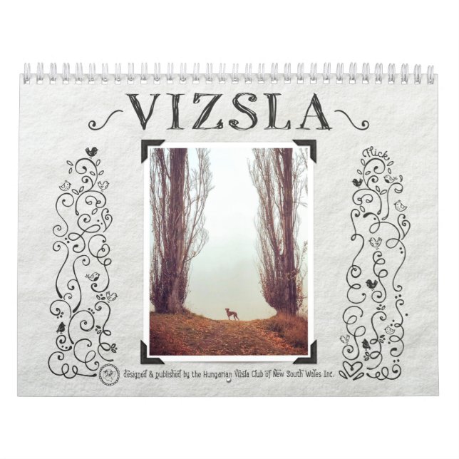 Calendrier des journaux de VIZSLA (Protection)