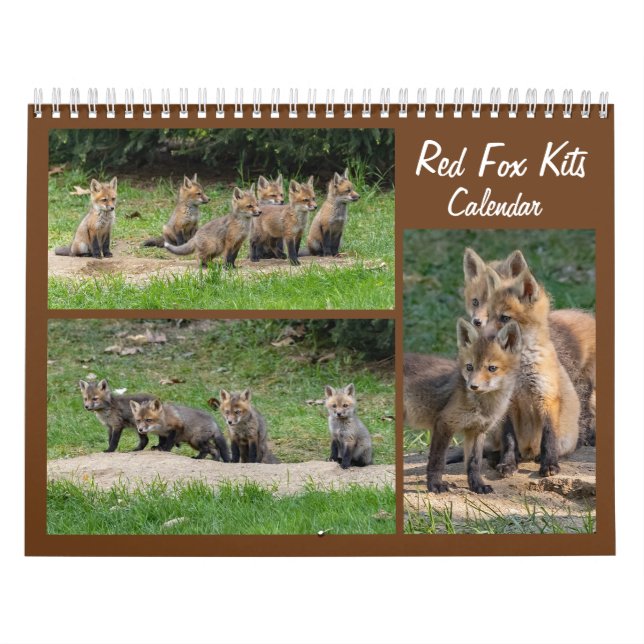 Calendrier des kits Red Fox (Protection)
