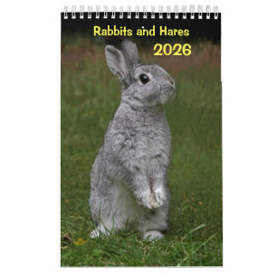 Calendrier des lapins et des lièvres 2025