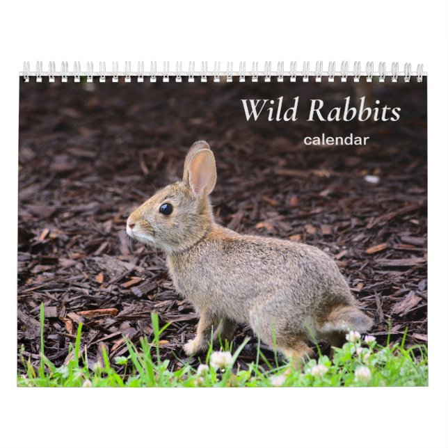 Calendrier des lapins sauvages (Protection)