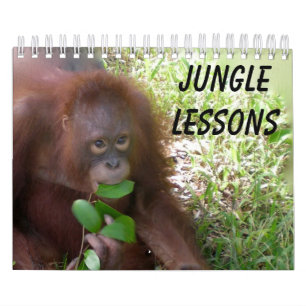 Calendrier des leçons sur la faune de la jungle