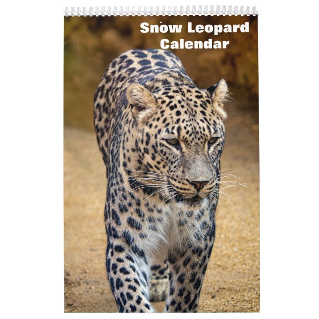 Calendrier des léopards des neiges 2025 (Protection)
