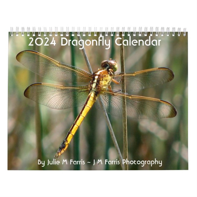 Calendrier des libellules 2024 (Protection)