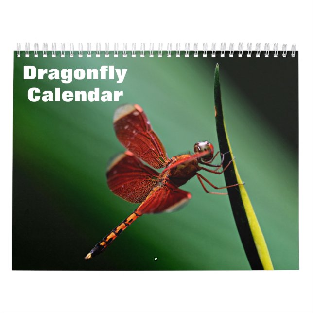 Calendrier des libellules 2025 (Protection)