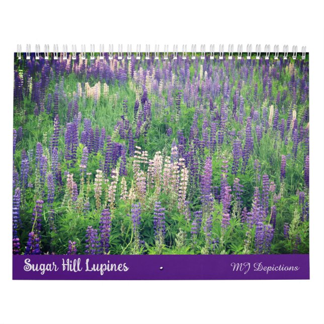 Calendrier des lupines de Sugar Hill (Protection)
