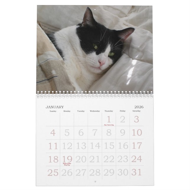 Calendrier des moments (Jan 2026)