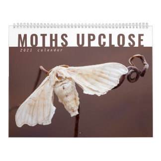 CALENDRIER DES MOTHS UPCLOSE 2021