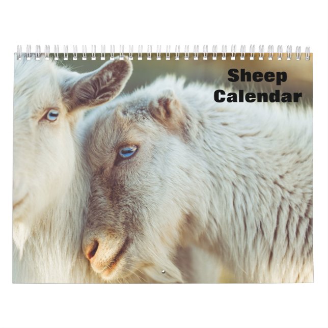 Calendrier des moutons 2025 (Protection)