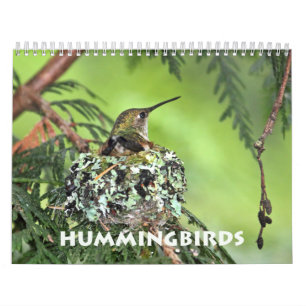 Calendrier des murailles des colibris