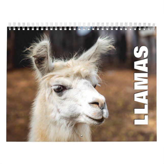 Calendrier des murs de lamas (Protection)