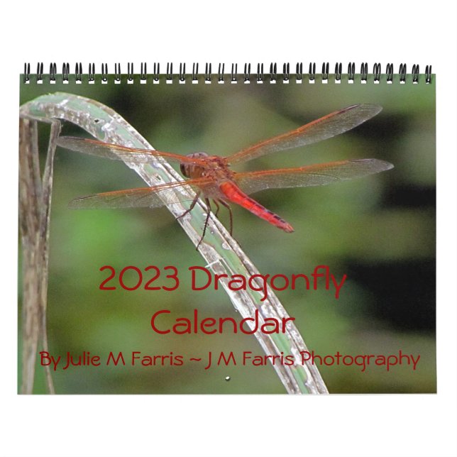 Calendrier des Murs de libellules 2023 (Protection)
