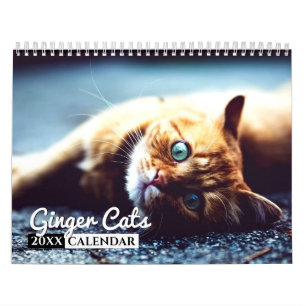 Calendrier des Murs Photo Ginger Cats 2022