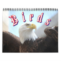 Calendrier des oiseaux