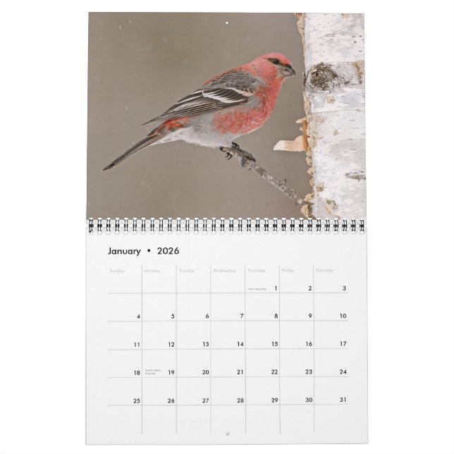 Calendrier des oiseaux 2013 (Jan 2026)