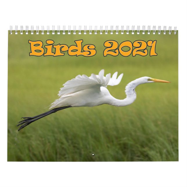 Calendrier des oiseaux 2021 (Protection)