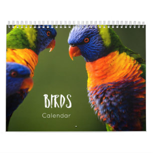 calendrier des oiseaux 2023