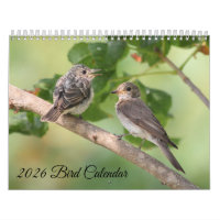 Calendrier des oiseaux 2026