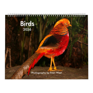 Calendrier des oiseaux 2026