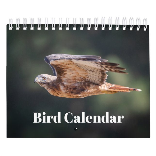 Calendrier des oiseaux 2026 (Protection)